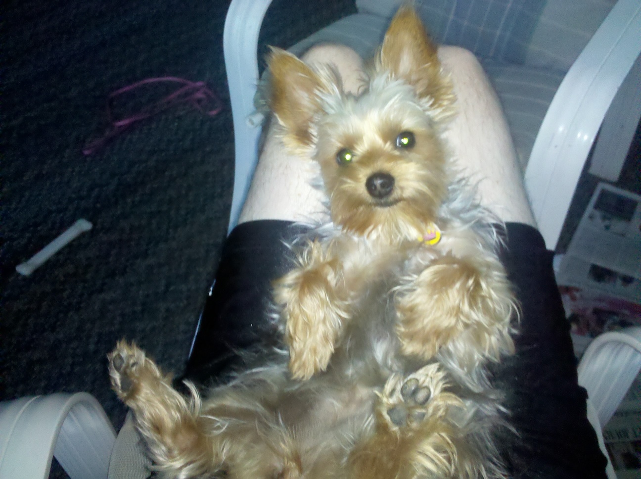 2012: Belly rub please