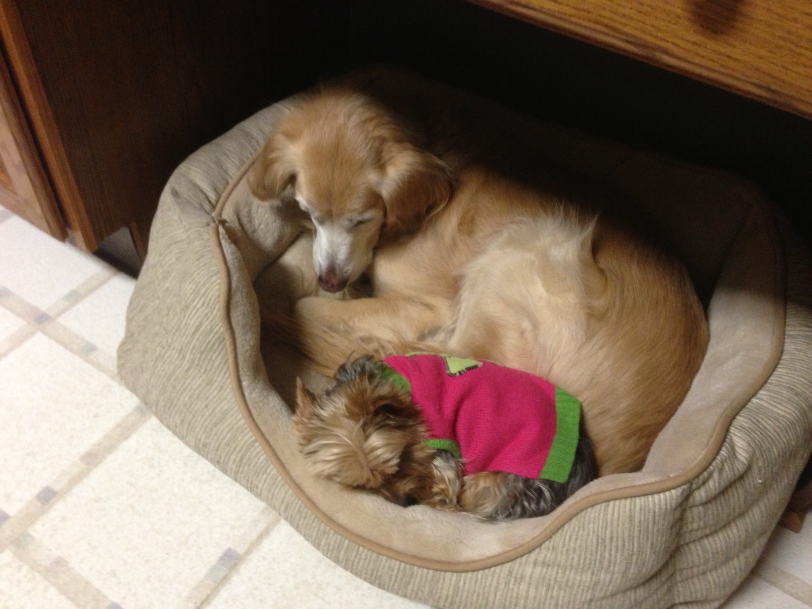 2013: Sophie and Ava
