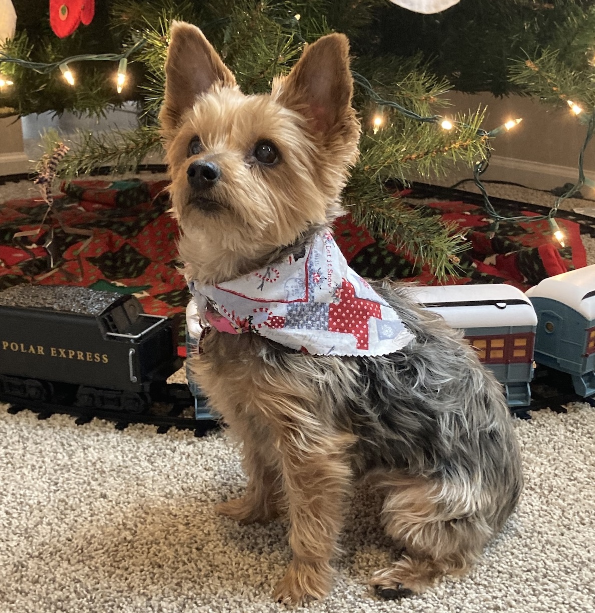 2021: Christmas