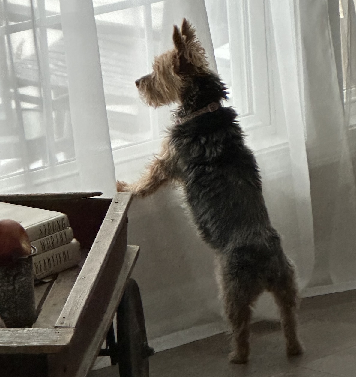 2025: On the lookout